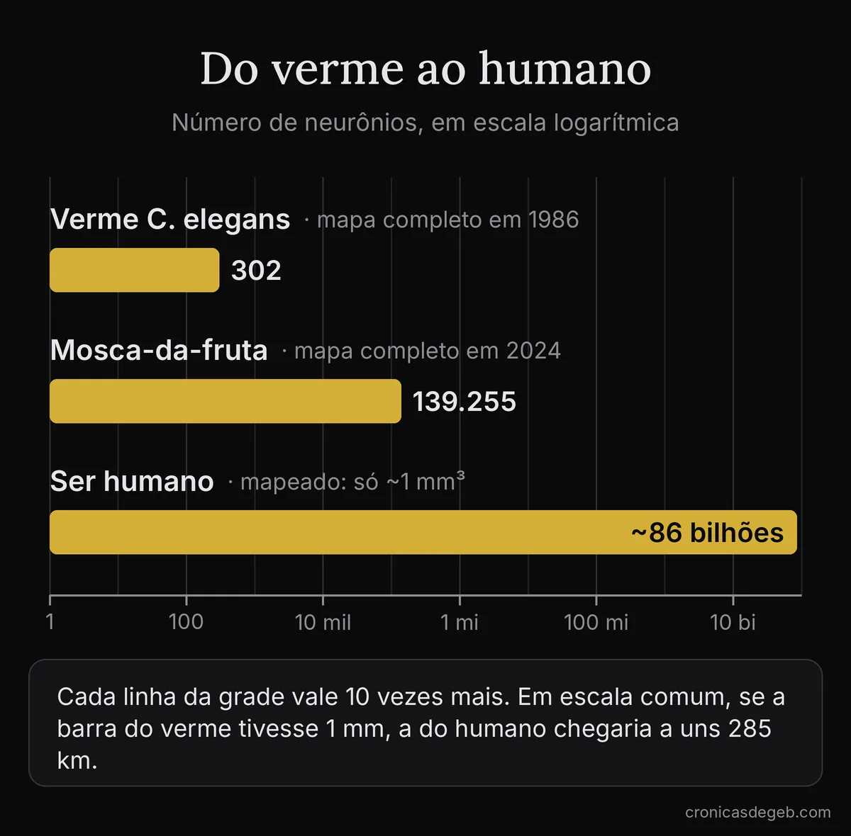 Gráfico de barras em escala logarítmica: verme C. elegans com 302 neurônios, mosca-da-fruta com 139.255 e ser humano com cerca de 86 bilhões